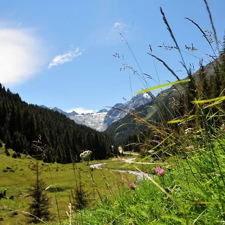 アパート Weissstein *