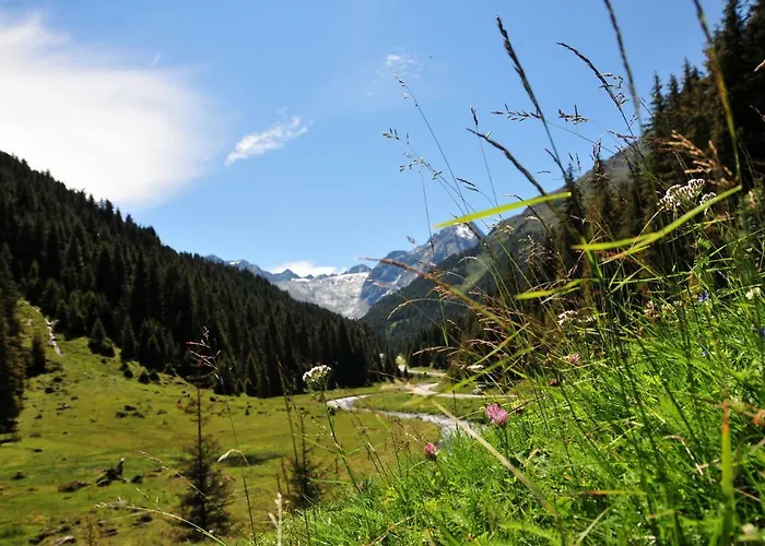 Apartamento Weissstein *