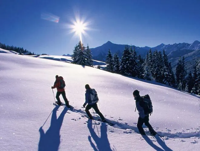 Apartment Weissstein *