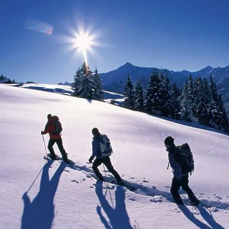 아파트 Weissstein *